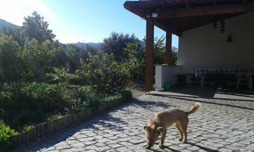 Quinta de S�o Jo�o