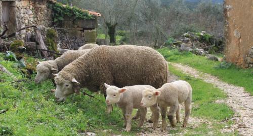 Quinta de S�o Jo�o