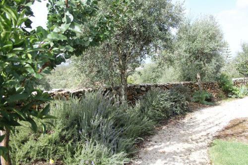 Quinta de S�o Jo�o