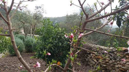 Quinta de S�o Jo�o