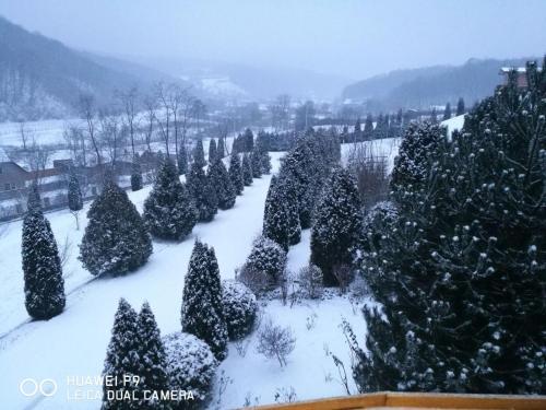Hostal Conacul Soimilor