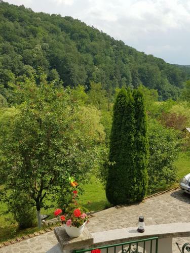 Hostal Conacul Soimilor