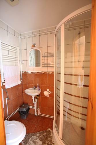 Hostal Pensiune Saroklak