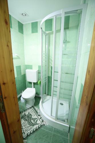 Hostal Pensiune Saroklak