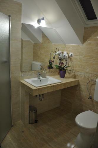 Bed & Breakfast Pensiunea Bor�ka