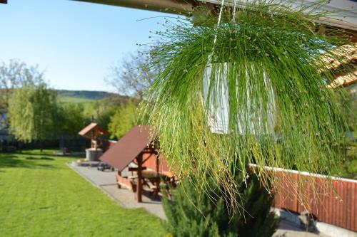 Bed & Breakfast Pensiunea Bor�ka