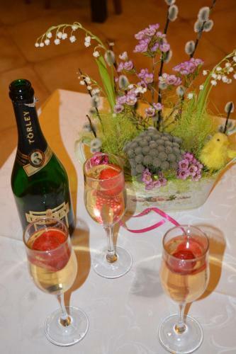 Bed & Breakfast Pensiunea Bor�ka