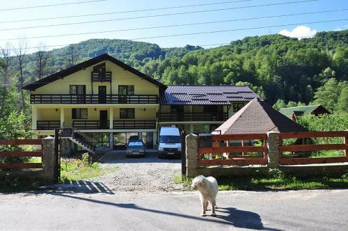 Hostal Pensiunea Ciobanelu