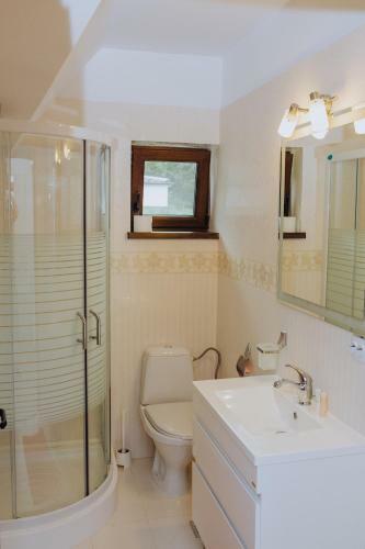 Hostal Pensiunea Andrei