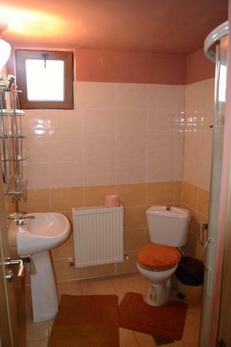 Hostal Pensiunea Soreanca