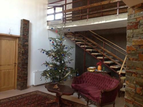 Bed & Breakfast Ortansa