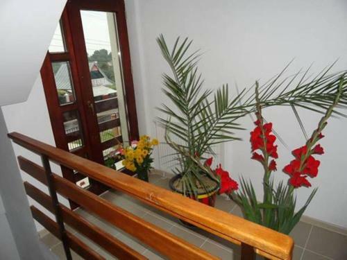 Hostal Pensiunea Cristina Racova