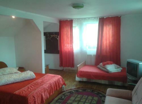 Hostal Pensiunea Nopti de Vara