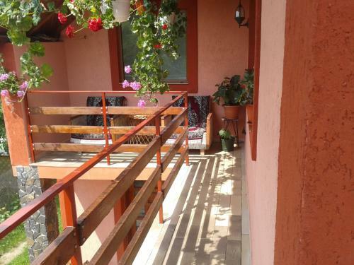 Hostal Pensiunea Nopti de Vara