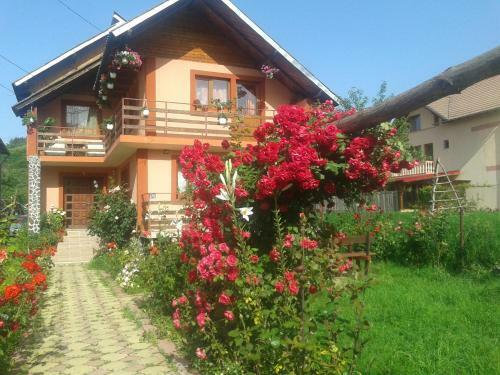 Hostal Pensiunea Nopti de Vara