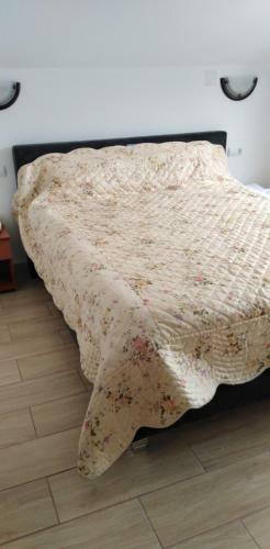 Hostal Villa Delle Camelie