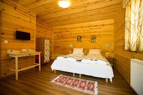 Lodge Pensiunea Balkan Expres