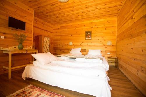 Lodge Pensiunea Balkan Expres