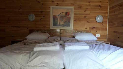 Lodge Pensiunea Balkan Expres
