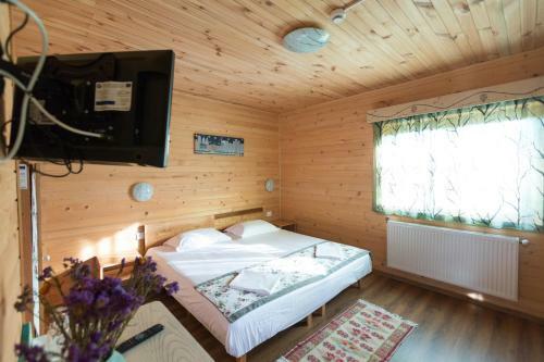 Lodge Pensiunea Balkan Expres