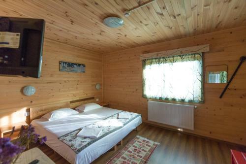Lodge Pensiunea Balkan Expres
