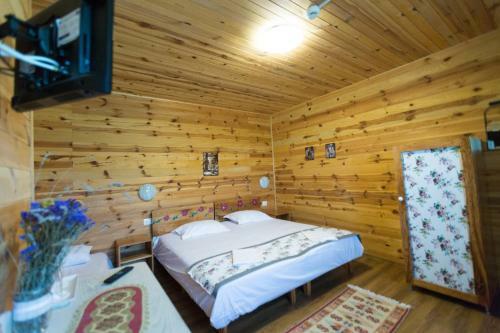 Lodge Pensiunea Balkan Expres