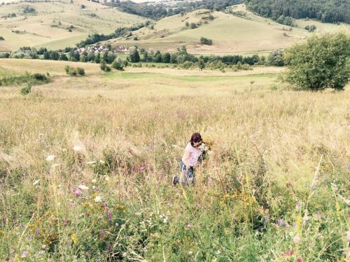 Pensiune Agroturistica Hanna