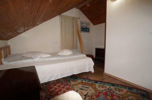Hostal Casa Paltinu
