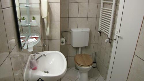 Bed & Breakfast Vila Elitte Predeal
