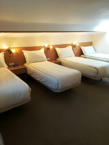 Hostal Pensiunea Perla Martiniei Nsd