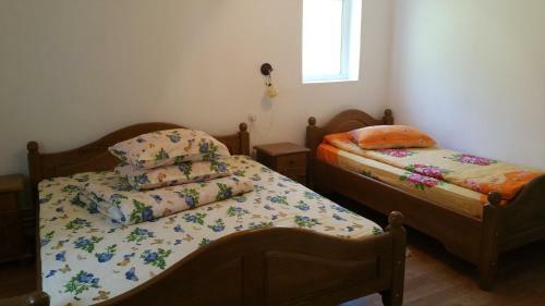 Hostal Pensiunea Badea Gheorghe Agro