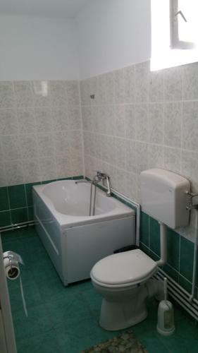 Hostal Pensiunea Badea Gheorghe Agro