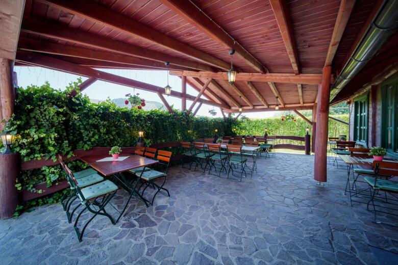 Hostal Pensiunea Zetevar