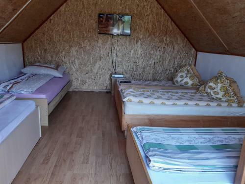 Lodge Cabana Alex Cheile Nerei