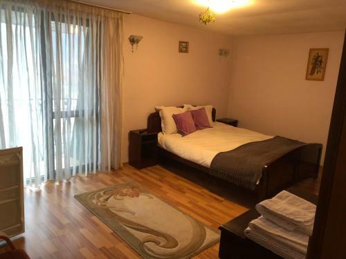 Hostal Pensiunea Alis