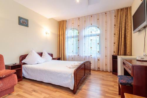 Hostal Pensiunea Alis