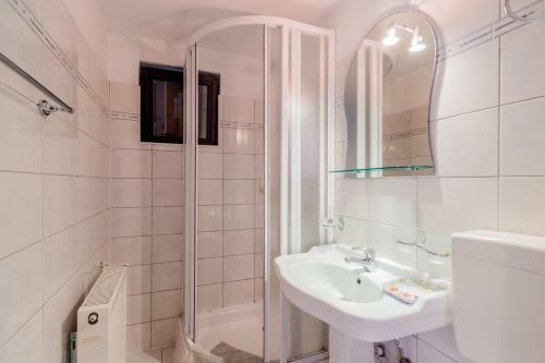 Hostal Pensiunea Alis
