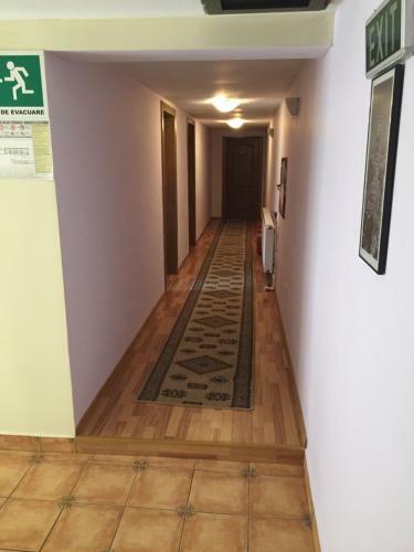 Hostal Pensiunea Alis