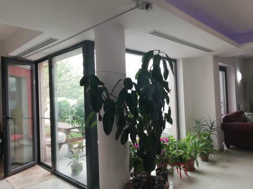 Hostal Casa La Bunica