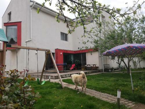 Hostal Casa La Bunica