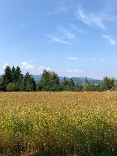 Apartman Zona Zlatar
