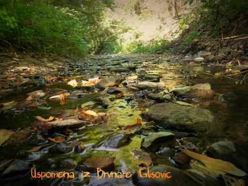 Lodge Brvnara Za Dvoje Glisovic