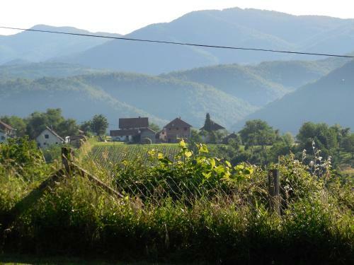 Lodge Brvnara Za Dvoje Glisovic