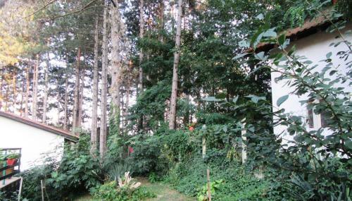Hostal Guest House Keserovic