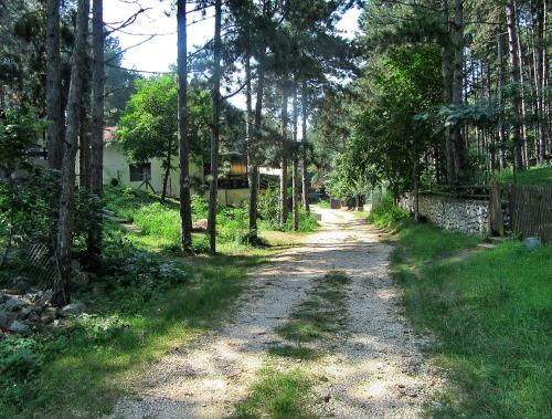 Hostal Guest House Keserovic