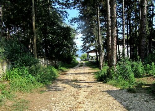 Hostal Guest House Keserovic
