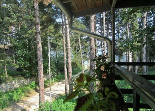 Hostal Guest House Keserovic
