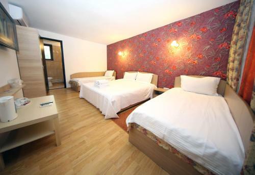 Hostal Pensiunea Lokanta