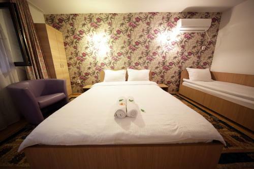 Hostal Pensiunea Lokanta