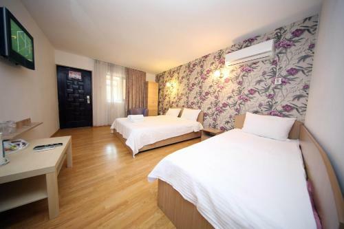 Hostal Pensiunea Lokanta